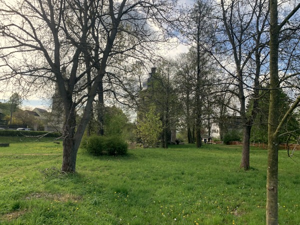 Vereinzelt Bume auf Wiese. Dahinter Gebude.