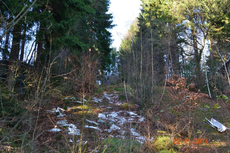 Schallerbachschanze Auerbach/Vogtl./Brunn: Ansicht von Weitem - Alles zugewachsen