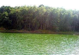 Blick vom Schiff auf das Ufer