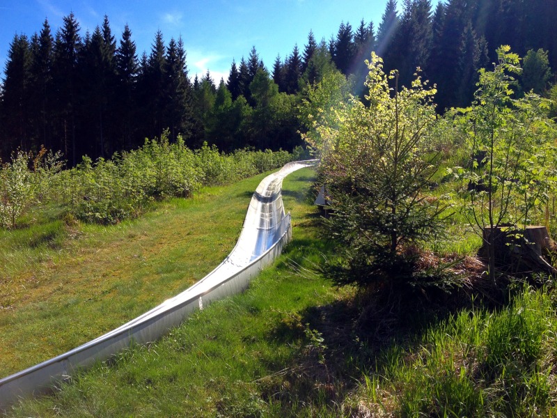 Kurze Gerade, Halbrhre der Sommerrodelbahn Mhlleiten inmitten von Bumen