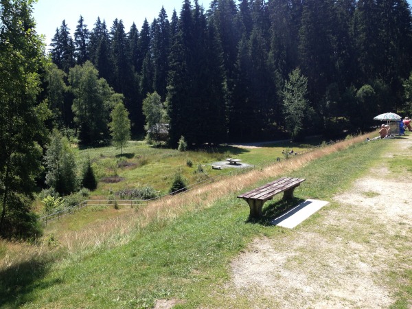 Weg mit Hang nach unten zu Wiese und Wald. Am Anfang eine Sitzbank.