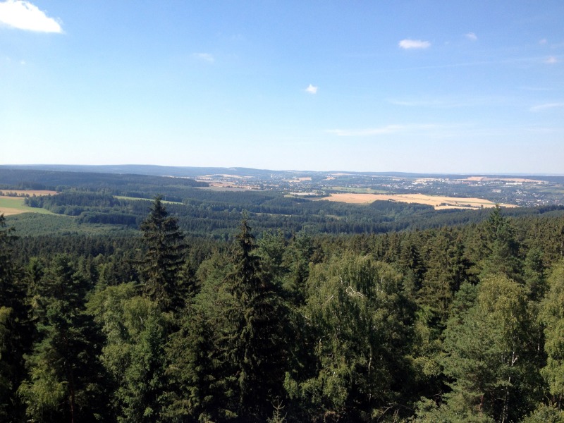 Blick ber Wlder auf Landschaft