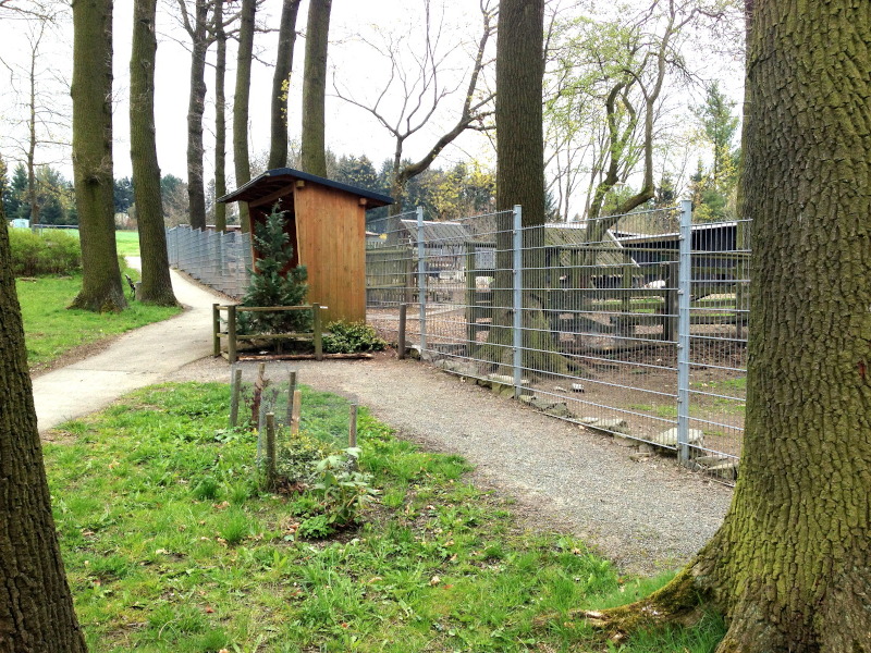 Weg am Gehege vorbei mit Informationstafel