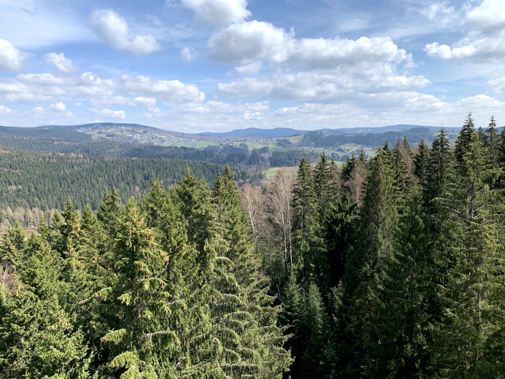 Wald ber alle Tler hinweg bis zum Horizont bei leicht bewlktem Himmel