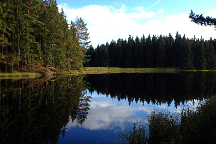 Wunderschne Landschaft am wasser