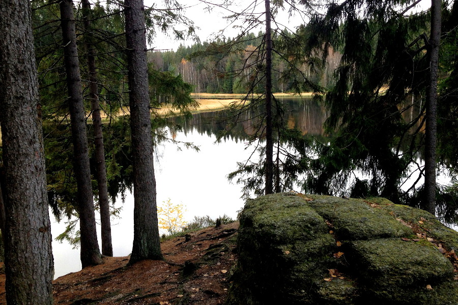 Auf dem Felsen