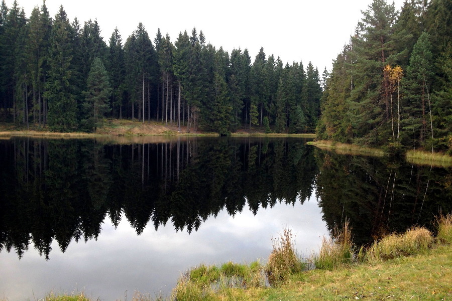 In Mitte des Waldes befindet sich der See