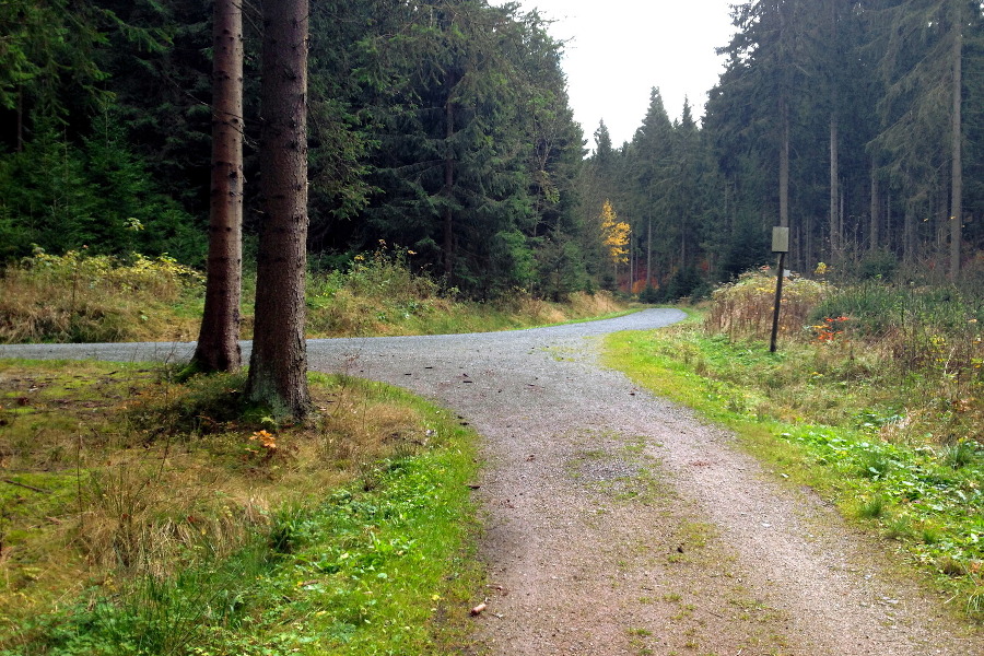 Viele Wanderwege befinden sich in der Nhe