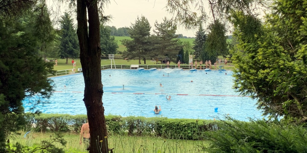 Umringt von Bumen Blick auf das Schwimmbecken