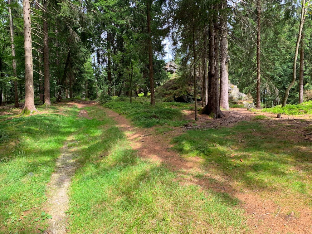 Grasiger Waldweg am Felsen vorbei