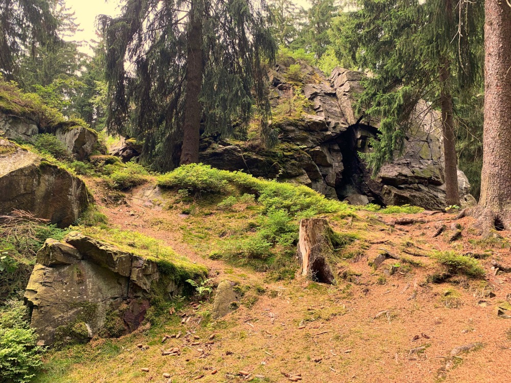 Bewachsener Felsen mit Weg nach oben