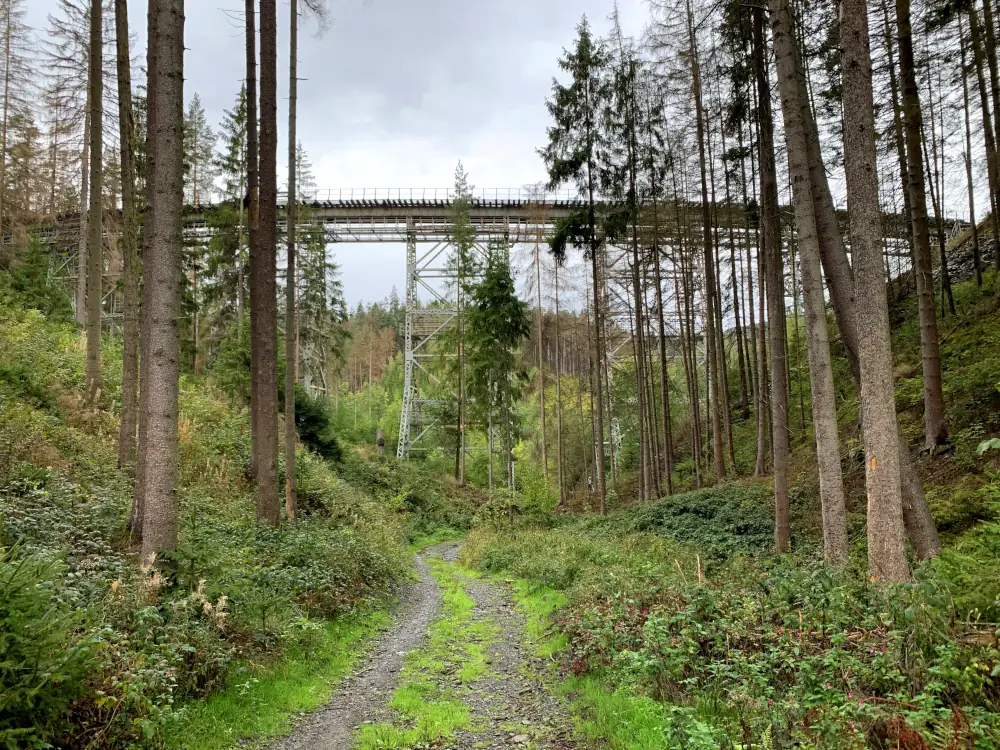 Romantische Waldlandschaft. Waldweg fhrt im Tal zu einer Stahl-Eisenbahnbrcke.